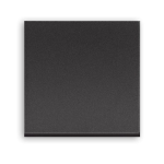 RG4001M2 - еднополюсен ключ 2 мод черен