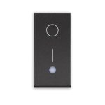 RG4002L - бойлерен ключ 1 мод 16А черен