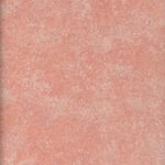 ANTICO COCCIO ETRUSCO MORO