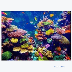 Фолио за опънат таван транслуцент мат (печат)