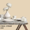 FLEETWOOD POPULAR COLOR COLECTION-EASYCLEAN МАТТ - 026 FINAL STRAW