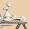 FLEETWOOD POPULAR COLOR COLECTION-EASYCLEAN МАТТ - 027 CANDLELIGHT