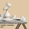 FLEETWOOD POPULAR COLOR COLECTION-EASYCLEAN МАТТ - 028 CRÉME CARAMEL
