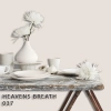 FLEETWOOD POPULAR COLOR COLECTION-EASYCLEAN МАТТ - 037 HEAVENS BREATH