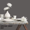 FLEETWOOD POPULAR COLOR COLECTION-EASYCLEAN МАТТ - 060 SPECIAL GRAY