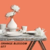 FLEETWOOD POPULAR COLOR COLECTION-EASYCLEAN МАТТ - 077 ORANGE BLOSSOM
