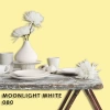 FLEETWOOD POPULAR COLOR COLECTION-EASYCLEAN МАТТ - 080 MOONLIGHT WHITE
