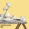 FLEETWOOD POPULAR COLOR COLECTION-EASYCLEAN МАТТ - 081 ASPEN GOLD
