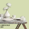FLEETWOOD POPULAR COLOR COLECTION-EASYCLEAN МАТТ - 085 LIMESICKLE