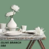 FLEETWOOD POPULAR COLOR COLECTION-EASYCLEAN МАТТ - 088 OLIVE BRANCH