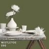 FLEETWOOD POPULAR COLOR COLECTION-EASYCLEAN МАТТ - 090 MISTLETOE