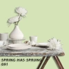 FLEETWOOD POPULAR COLOR COLECTION-EASYCLEAN МАТТ - 091 SPRING HAS SPRUNG