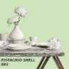 FLEETWOOD POPULAR COLOR COLECTION-EASYCLEAN МАТТ - 092 PISTACHIO SHELL