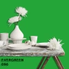FLEETWOOD POPULAR COLOR COLECTION-EASYCLEAN МАТТ - 096 EVERGREEN