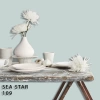 FLEETWOOD POPULAR COLOR COLECTION-EASYCLEAN МАТТ - 109 SEA STAR