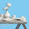 FLEETWOOD POPULAR COLOR COLECTION-EASYCLEAN МАТТ - 117 CAYMAN BLUE