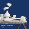 FLEETWOOD POPULAR COLOR COLECTION-EASYCLEAN МАТТ - 120 ARCTIC SPRING