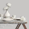 FLEETWOOD POPULAR COLOR COLECTION-EASYCLEAN МАТТ - 134 SILVER LINING