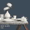 FLEETWOOD POPULAR COLOR COLECTION-EASYCLEAN МАТТ - 141 ASH SLATE